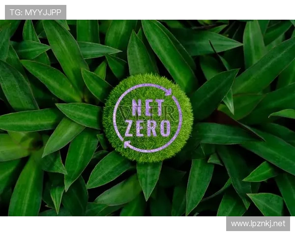 帕尔默高光表现可持续性分析