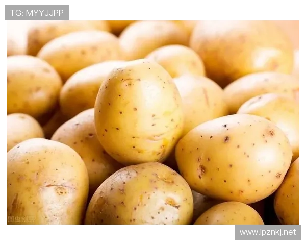 菲尔普斯一天吃一斤牛排还说自己在减肥？