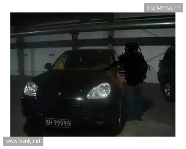 韦少又买豪车？光车库的钱普通人存一辈子都没影儿